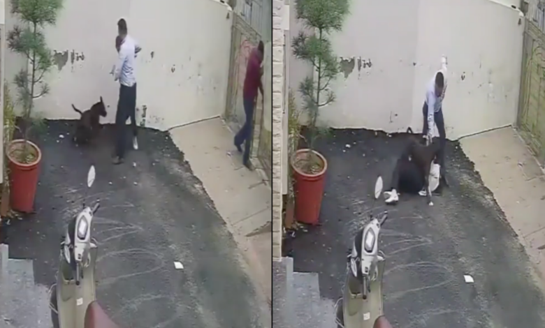 Pareja resulta herida tras ser atacada por un pitbull al visitar una casa en venta