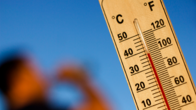 Baja California encabeza muertes por calor en México con 33 casos
