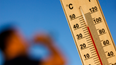 Ciudad Juárez tendrá una jornada calurosa con máxima de 38 grados