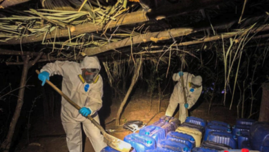 Ejército desmantela centro con insumos para producir metanfetamina en Culiacán