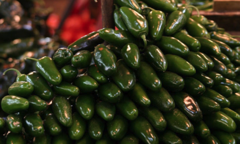 Rastrean hasta Sinaloa jalapeños relacionados con brote de salmonela en Estados Unidos
