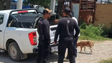 Abuela se interpone para salvar a sus nietas de un pitbull y queda gravemente herida en Zapopan