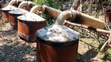 Desmantelan laboratorios clandestinos en Sinaloa y Michoacán; estiman golpe de mil 441 mdp al crimen organizado