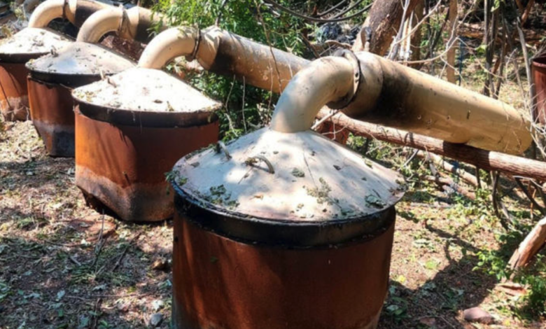 Desmantelan laboratorios clandestinos en Sinaloa y Michoacán; estiman golpe de mil 441 mdp al crimen organizado