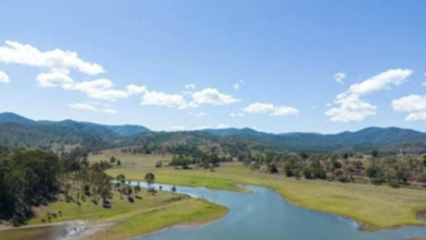 Desaparecieron 142 vacas y novillas de una granja en Australia: el ganado estaba valuado en más de 200.000 dólares