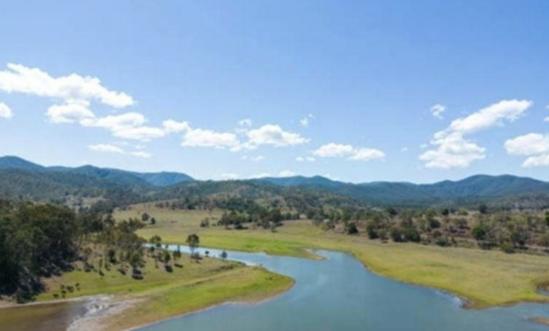 Desaparecieron 142 vacas y novillas de una granja en Australia: el ganado estaba valuado en más de 200.000 dólares