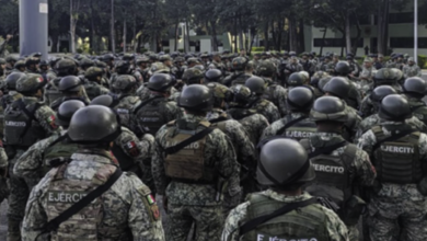 Despliegan 9,500 militares para proteger producción de aguacate en Michoacán