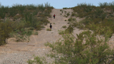 EU pausa obras de seguridad en la frontera con México tras críticas ambientales