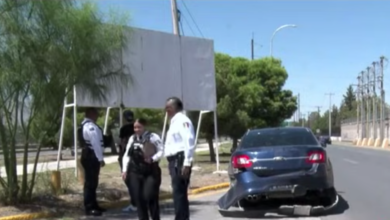 Conductor presuntamente ebrio toma el vehículo de su amigo y destruye 12 bolardos