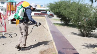 Ecología suma 19 mil 500 fumigaciones en distintos sectores de Ciudad Juárez