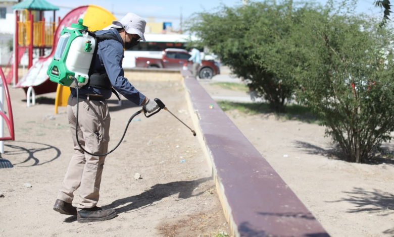 Ecología suma 19 mil 500 fumigaciones en distintos sectores de Ciudad Juárez