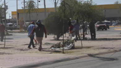 Renuevan camellón de la avenida De Los Aztecas con trabajos de limpieza