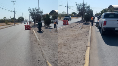 Realizan mantenimiento en Palacio de Mitla; piden precaución a conductores