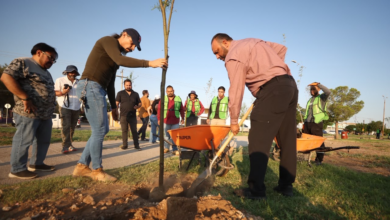 Ciudad Juárez se suma a Jornada Nacional de Reforestación con nuevos árboles en parques y avenidas