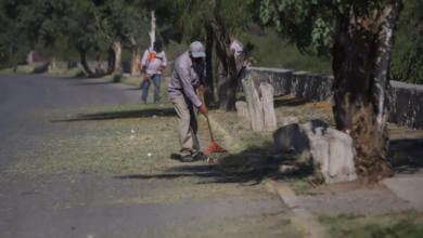 Realizan mantenimiento en camellones de la calle David Herrera Jordán