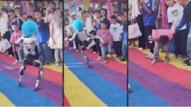 Robot humanoide patea a un niño durante demostración de karate y causa sorpresa