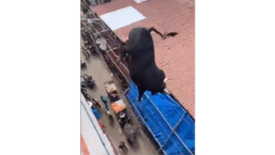 Toro que cae de una azotea y embiste personas resulta ser un video generado con inteligencia artificial