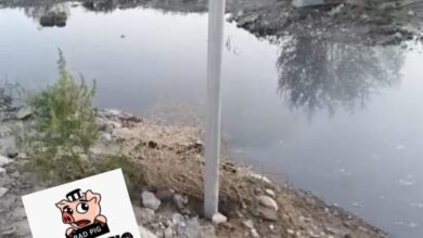 Investigan descarga ilegal de aguas residuales por camión de la JMAS