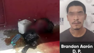 Dictan prisión preventiva a acusado de maltrato animal en Ciudad Juárez
