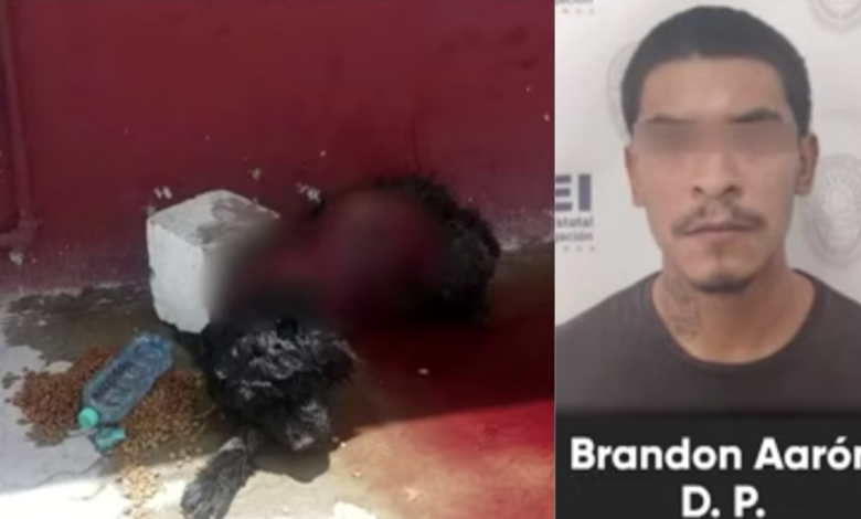 Dictan prisión preventiva a acusado de maltrato animal en Ciudad Juárez