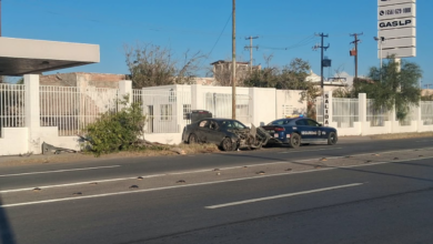 Conductor pierde el control, choca contra poste y derriba árbol en el Eje Vial