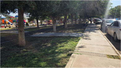 Parques y Jardines realiza limpieza y poda en fraccionamiento Los Parques