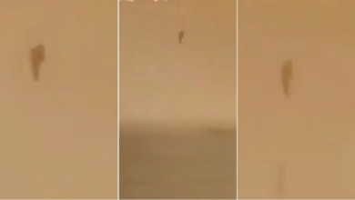 Misterioso objeto vertical captado en el cielo de Irak reabre debate sobre los OVNI