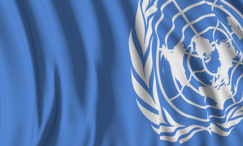 ONU exige a Estados Unidos rendir cuentas por mue.rtes de migrantes bajo custodia