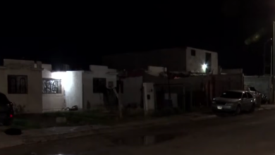 Tragedia en Ciudad Juárez: mue.re perro ele.ctro.cu.tado por cables de luz irregulares