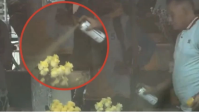 ¿Estafa o ingenio? Vendedor causa debate al pintar flores de amarillo