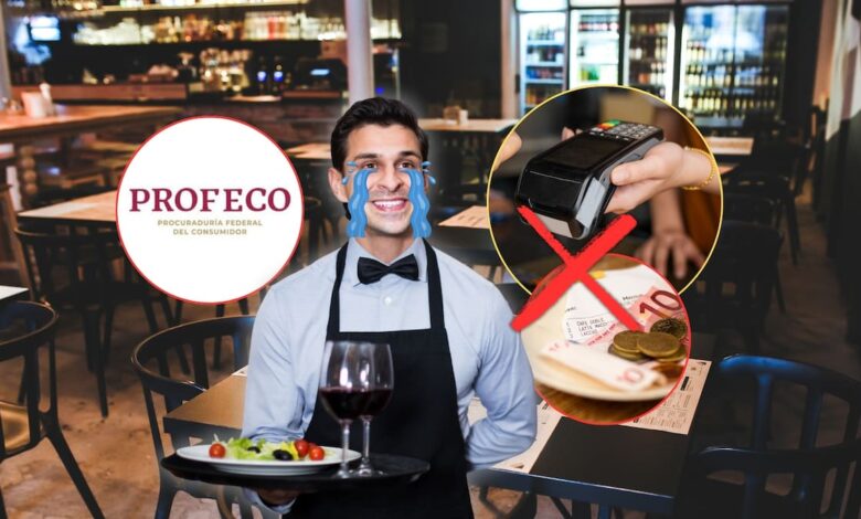 Cuenta de un restaurante revisada por un consumidor antes de pagar la propina