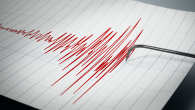 Sismo de magnitud 5.5 sacude las costas de Chiapas