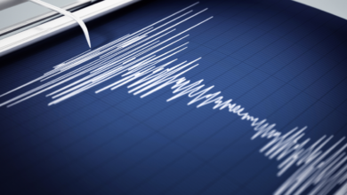 Sismo de magnitud 5.2 sacude Veracruz; epicentro fue cerca de Sayula de Alemán