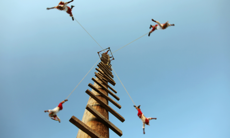 Monos de Chapultepec se vuelven virales por imitar a los Voladores de Papantla