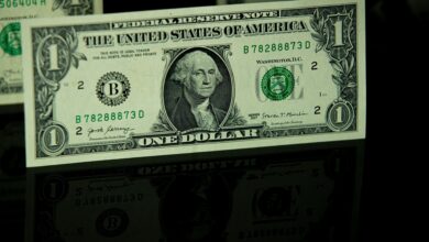 Mantiene el dólar precio estable en casas de cambio