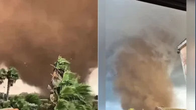 Daños ocasionados por un doble tornado en Marsala, Sicilia