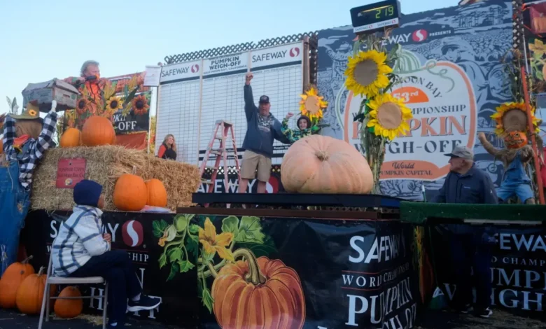 Calabaza gigante preparada para un campeonato de pesaje en California