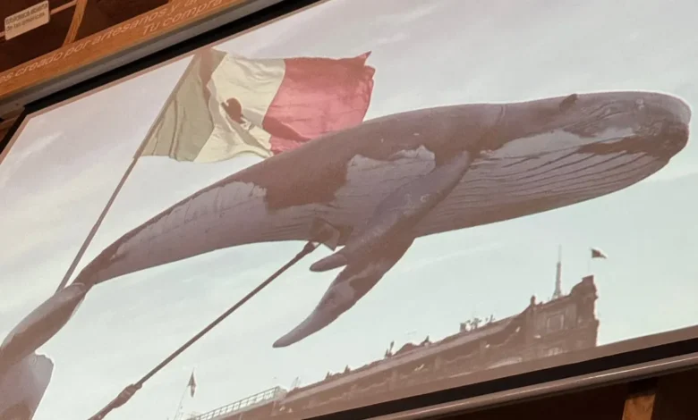 Documental ¿Ballenas o Gas? sobre proyectos de gas natural licuado en el noroeste de México