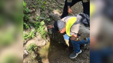 Personal realiza labores de nebulización contra mosquitos en Ciudad Juárez