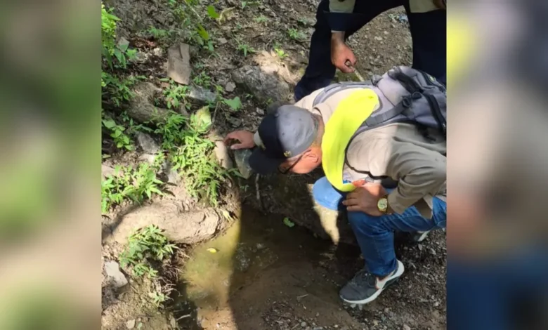 Personal realiza labores de nebulización contra mosquitos en Ciudad Juárez