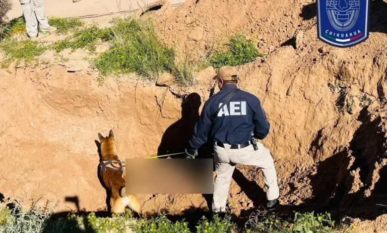 Lugar donde fue localizado el cuerpo de una mujer en una fosa de Valle Dorado, Ciudad Juárez