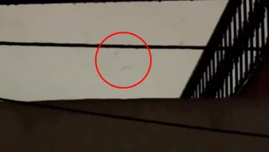 Siluetas oscuras captadas en el cielo durante una tormenta en Málaga, España