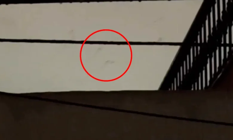 Siluetas oscuras captadas en el cielo durante una tormenta en Málaga, España