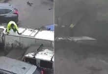 Trabajador refugiado en un árbol durante el desborde de un río en Chile