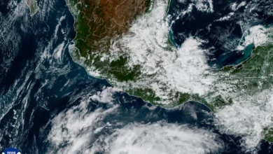 Trayectoria prevista de la tormenta tropical Vance frente a las costas mexicanas