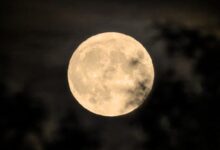 Luna llena de octubre observada cerca del horizonte