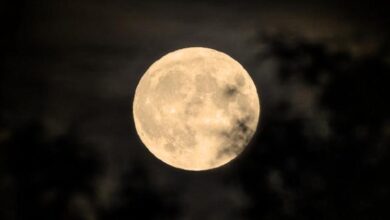 Luna llena de octubre observada cerca del horizonte