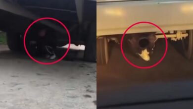 Adolescente localizado debajo de un camión urbano en Nuevo León