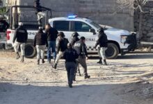 Personal de DABA participa en investigación por la muerte de un perro en Ciudad Juárez