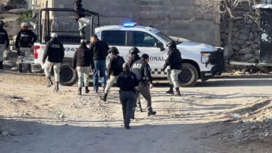 Personal de DABA participa en investigación por la muerte de un perro en Ciudad Juárez